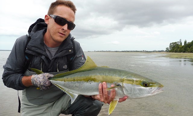Connections – Backing > Fly line – Saltwater Fly Fishing guide. Tauranga,  Bay of Plenty